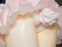 「ワンダーフェスティバル 2013［夏］」 様々なディーラー特集20 【WF2013夏】