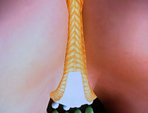 エレナの貝殻水着など「アルティメットセクシーコスチューム」が一般配信開始！「DEAD OR ALIVE 5 Ultimate」