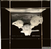 そにアニ-SUPER SONICO THE ANIMATION-　プレミアムクリスタル　03