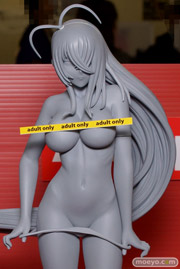 アイズプロジェクト　一騎当千　関羽雲長　Cami Ver　ボディアップ