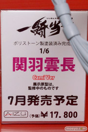 アイズプロジェクト　一騎当千　関羽雲長　Cami Ver　POP