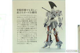 ボークス L.E.D. MIRAGE V3 レッドミラージュ 09