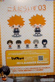 ニコニコ超会議3　フォトレポート　21