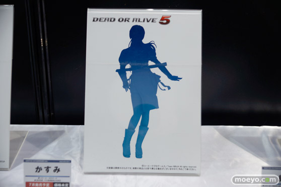 トレジャーフェスタin有明11　会場の様子　12