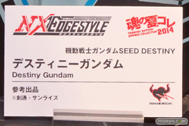 バンダイ　魂の夏コレ2014　ガンダム　魂ネイション　ネクスエッジスタイル　ディスティニーガンダム　POP