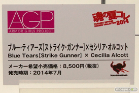バンダイ 魂の夏コレ2014 美少女 魂ネイション AGP ブルー・ティアーズ【ストライクガンナー】×セシリア・オルコット POP