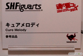 バンダイ 魂の夏コレ2014 美少女 魂ネイション S.H.Figuarts キュアメロディ POP
