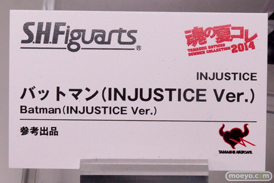 バンダイ 魂の夏コレ2014 キャラクター 魂ネイション S.H.Figarts バットマン(INJUSTICE Ver.) POP