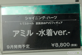 メガホビEXPO2014 Spring　コトブキヤ　シャイニング・ハーツ　アミル　-水着ver.-　POP