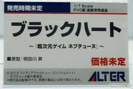 アルター　超次元ゲイム　ネプテューヌ　ブラックハート　10
