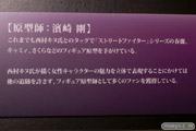 東京おもちゃショー2014　カプコン　カプコンフィギュアビルダー　クリエイターズモデル　モリガン・アーンスランド　25