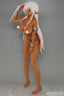 オーキッドシード　イベント限定 クイーンズブレイド美しき闘士たち アレイン フィギュア　画像　白　キャストオフ　30