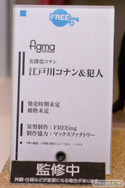 ワンダーフェスティバル2014　夏　WONDERFUL HOBBY LIFE FOR YOU!!20 グッドスマイルカンパニー　マックスファクトリー　フリーイング　ファット・カンパニー　フィギュア　画像　37