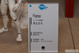 ワンダーフェスティバル2014　夏　WONDERFUL HOBBY LIFE FOR YOU!!20 グッドスマイルカンパニー　マックスファクトリー　フリーイング　ファット・カンパニー　フィギュア　画像　43