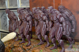 ワンダーフェスティバル2014　夏　WONDERFUL HOBBY LIFE FOR YOU!!20 グッドスマイルカンパニー　マックスファクトリー　フリーイング　ファット・カンパニー　フィギュア　画像　57