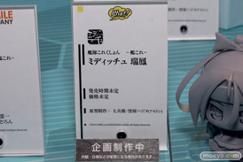 ワンダーフェスティバル2014　夏　フィギュア　画像　WONDERFUL HOBBY LIFE FOR YOU!!20　ねんどろいど　グッドスマイルカンパニー　　21