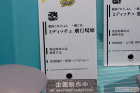 ワンダーフェスティバル2014　夏　フィギュア　画像　WONDERFUL HOBBY LIFE FOR YOU!!20　ねんどろいど　グッドスマイルカンパニー　　29