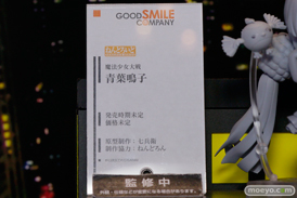 ワンダーフェスティバル2014　夏　フィギュア　画像　WONDERFUL HOBBY LIFE FOR YOU!!20　ねんどろいど　グッドスマイルカンパニー　　60