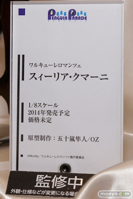 ワンダーフェスティバル2014　夏　フィギュア　画像　WONDERFUL HOBBY LIFE FOR YOU!!20　初音ミク　IS　フリーイング　グッドスマイルカンパニー　ウイング　Gift　ペンギンパレード　17