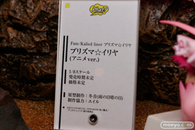 ワンダーフェスティバル2014 夏 フィギュア 画像 WONDERFUL HOBBY LIFE FOR YOU!!20 初音ミク IS フリーイング グッドスマイルカンパニー ウイング Gift ペンギンパレード アイマス そに子 30