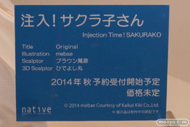 ワンダーフェスティバル2014　夏　フィギュア　画像　ネイティブ　Tony　　08