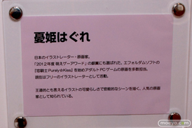 ワンダーフェスティバル2014　夏　フィギュア　画像　ネイティブ　Tony　　32