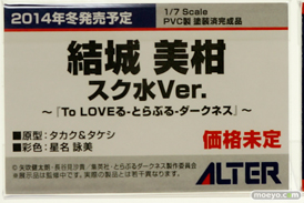 ワンダーフェスティバル 2014［夏］ アルター　フィギュア　画像　エロ　17