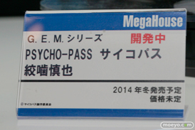 ワンダーフェスティバル 2014［夏］　メガハウス　フィギュア　画像　21
