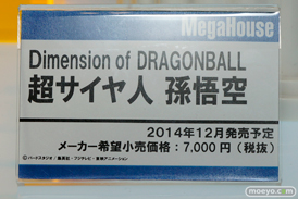 ワンダーフェスティバル 2014［夏］　メガハウス　フィギュア　画像　50