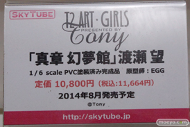 ワンダーフェスティバル 2014［夏］　アルファマックス　スカイチューブ　フィギュア　画像　Tony　エロ　15