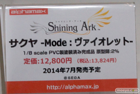 ワンダーフェスティバル 2014［夏］　アルファマックス　スカイチューブ　フィギュア　画像　Tony　エロ　17