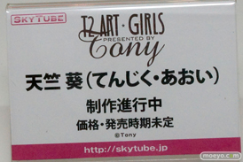 ワンダーフェスティバル 2014［夏］　アルファマックス　スカイチューブ　フィギュア　画像　Tony　エロ　19