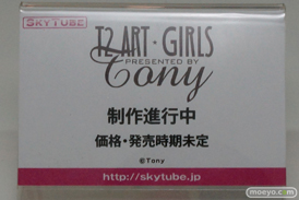 ワンダーフェスティバル 2014［夏］　アルファマックス　スカイチューブ　フィギュア　画像　Tony　エロ　21