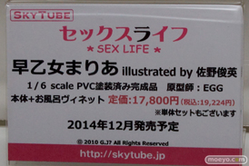 ワンダーフェスティバル 2014［夏］　アルファマックス　スカイチューブ　フィギュア　画像　Tony　エロ　27