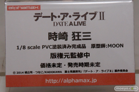 ワンダーフェスティバル 2014［夏］　アルファマックス　スカイチューブ　フィギュア　画像　Tony　エロ　29