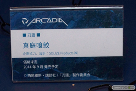 ワンダーフェスティバル 2014［夏］　アルカディア　フィギュア　画像　08