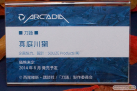 ワンダーフェスティバル 2014［夏］　アルカディア　フィギュア　画像　10