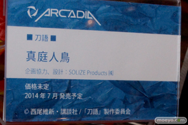 ワンダーフェスティバル 2014［夏］　アルカディア　フィギュア　画像　14