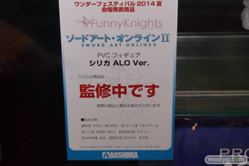 ワンダーフェスティバル 2014［夏］　アオシマ　フィギュア　画像　02