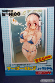 ワンダーフェスティバル 2014［夏］　回天堂　エロ　フィギュア　画像　02