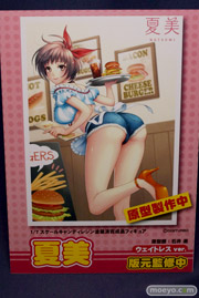 ワンダーフェスティバル 2014［夏］　回天堂　エロ　フィギュア　画像　09