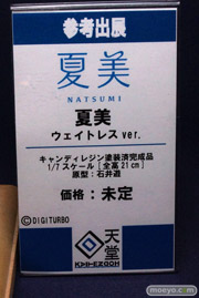 ワンダーフェスティバル 2014［夏］　回天堂　エロ　フィギュア　画像　10