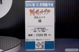 ワンダーフェスティバル 2014［夏］　回天堂　エロ　フィギュア　画像　18
