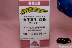 ワンダーフェスティバル 2014［夏］　レチェリー　エロ　フィギュア　画像　10
