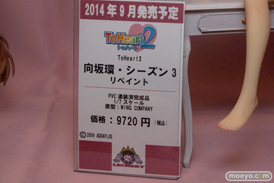 ワンダーフェスティバル 2014［夏］　レチェリー　エロ　フィギュア　画像　16