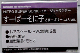 ワンダーフェスティバル 2014［夏］　オーキッドシード　エロ　フィギュア　画像　21