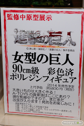 ワンダーフェスティバル 2014［夏］　A-TOYS　フィギュア　画像　02