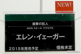 ワンダーフェスティバル 2014［夏］　フィギュア　画像　コトブキヤ　プラモデル　19