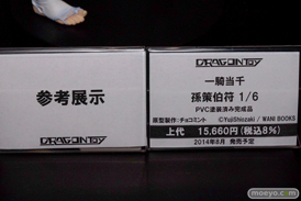 ワンダーフェスティバル 2014［夏］　フィギュア　画像　ドラゴントイ　エロ　Tony　アリアンロッド　17