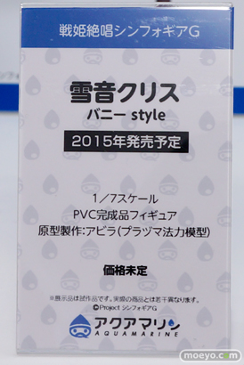 ワンダーフェスティバル 2014［夏］　フィギュア　画像　アクアマリン　15